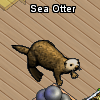 Pets-Sea otter.png