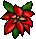 Tand-Poinsettie-xmas-2011.png