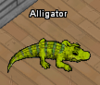 Tiere-Alligator.png