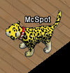Tiere-Leopard.png