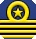 Captain badge.png