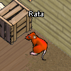 Mascotas-Rata persimonio.png