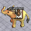 Pets-Gold elephant.png
