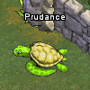 Pets-Sea turtle.png