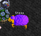 Pets-Wooly wacko.png