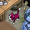Pets-Wine cat.png