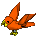 Parrot-persimmon-orange.png