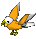 Parrot-white-peach.png