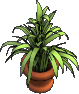 Furniture-Potted plant.png