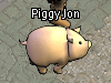 Pets-Pig.png