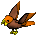 Parrot-orange-brown.png
