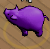 Pets-Purple porker.png