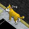 Pets-Gold dog.png