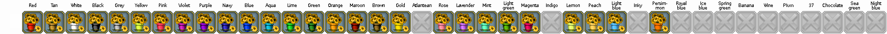 Colors-trinket-Potted sunflowers.png