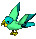 Aqua / Mint Parrot