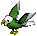 White / Green Parrot