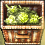 Forage largecrate.png
