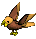 Parrot-peach-brown.png
