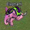 Pets-Booched elephant.png
