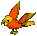 Gold/Orange Parrot