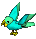 Mint / Aqua Parrot