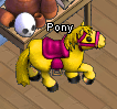 Pets-Golden pony.png