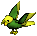 Yellow / Green Parrot