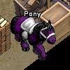 Pets-Plum-coat pony.png