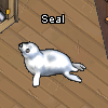 Pets-Seal.png