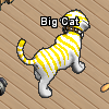 Pets-Banana cream tiger.png