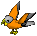 Parrot-grey-gold.png
