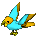 Parrot-gold-light blue.png