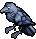 Raven-blue grey.png