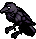 Raven-shadow.png