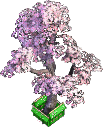 Furniture-Cherry tree.png