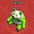 Pets-Spring green panda.jpg