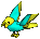 Yellow / Aqua Parrot