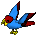Maroon/Blue Parrot