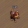 Pets-Chocolate cat.png