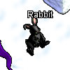 Pets-Black rabbit.png