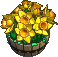 Furniture-Daffodil planter-3.png