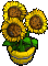 Furniture-Sunflower planter-4.png