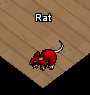 Pets-Crimson rat.png