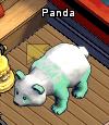 Pets-Mint panda.png