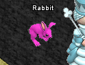 Pets-Love bunny.png