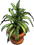 Furniture-Potted plant-2.png
