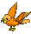 Parrot-peach-gold.png