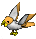 Parrot-peach-grey.png