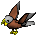 Parrot-grey-brown.png