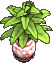 Furniture-Vase with plant.png